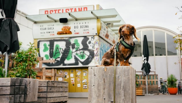 Vor dem Würstelstand in der Spittelau geht es los.
