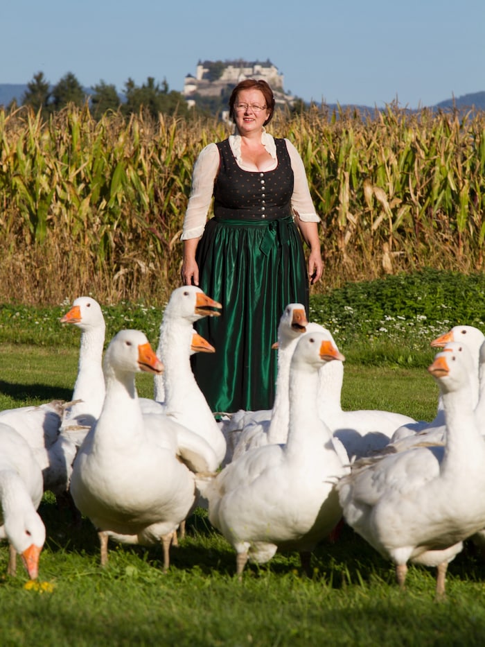 Iris Stromberger vom Brunnerhof am Längsee züchtet schon seit 1993 Bio-Gänse.