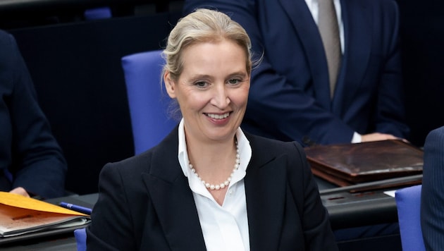 AfD-Chefin Alice Weidel hat angekündigt, auf EU-Ebene mehr mit der FPÖ zusammenarbeiten zu ...