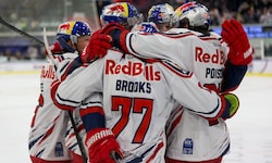 Jubel bei den Bulls nach dem Sieg gegen Ljubljana.