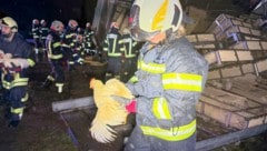 Feuerwehrleute versuchten, die entlaufenen Hühner rasch wieder einzufangen.