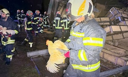 Feuerwehrleute versuchten, die entlaufenen Hühner rasch wieder einzufangen.