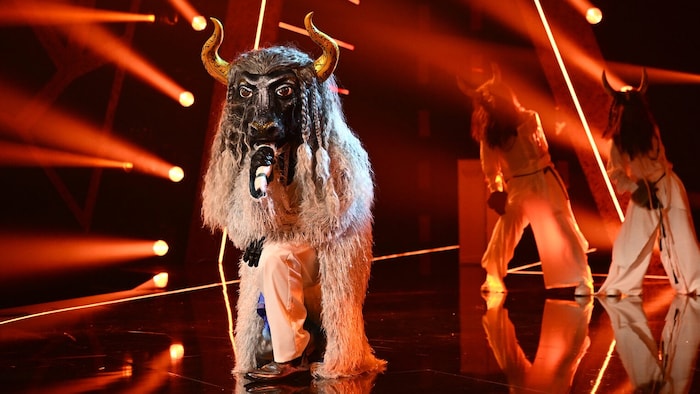 Vincent Gross konnte als „Fernando El Toro“ überzeugen.