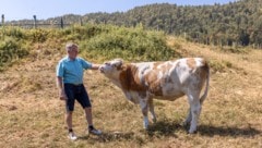 Der Klimawandel bringt Dürre, Hitze, Leid und dadurch immense Kosten.