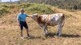 Der Klimawandel bringt Dürre, Hitze, Leid und dadurch immense Kosten.