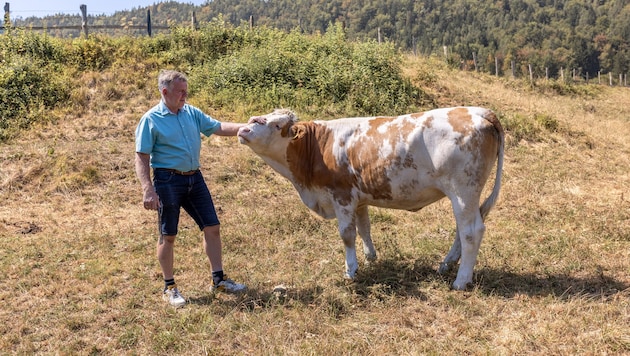 Der Klimawandel bringt Dürre, Hitze, Leid und dadurch immense Kosten.