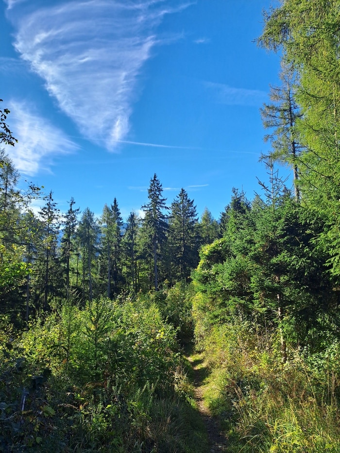 Auf dem Weg Richtung Nüziders.