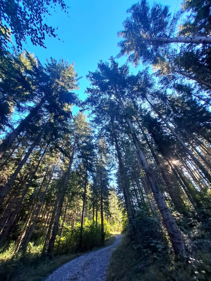 Nicht nur ein Weg führt bei dieser Wanderung zum Ziel – es gibt viele Alternativen.
