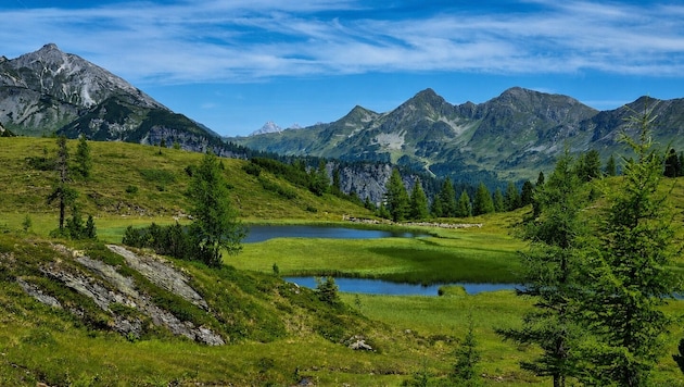 Der Wildalmsee in der Salzburger Gemeinde Tweng