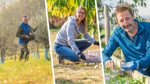 Martin Mittendrein, Angelika Köck und Peter Schöggl (v.l.) bauen Spezialitäten in der Steiermark ...