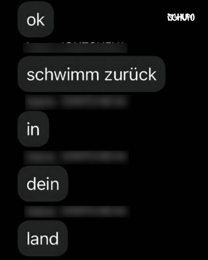 Ein Mitglied der diesjährigen Landesschülervertretung Wien im BMHS-Bereich soll wiederholt ...