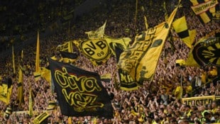Zuschauer im Dortmunder Stadion stellen ihr Handy in den „FanModus“