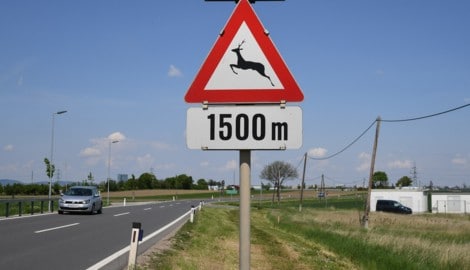 An stark frequentierten Straßen sind oft ganzjährig Warntafeln aufgestellt.