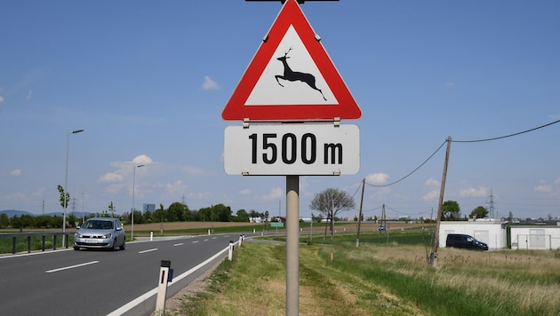 An stark frequentierten Straßen sind oft ganzjährig Warntafeln aufgestellt.
