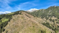 Tirols Bezirke weisen einen Waldanteil von 29 bis 56  Prozent auf, davon sind bis zu 83 Prozent ...