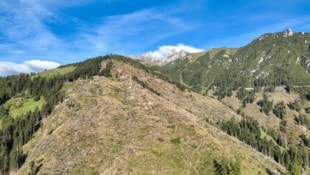 Tirols Bezirke weisen einen Waldanteil von 29 bis 56  Prozent auf, davon sind bis zu 83 Prozent ...