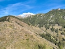 Tirols Bezirke weisen einen Waldanteil von 29 bis 56  Prozent auf, davon sind bis zu 83 Prozent ...