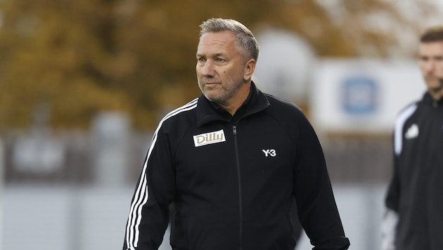 Manfred Schmid