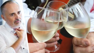 Hans Peter Doskozil schließt sich der Forderung der Weinbau-Chefs an.