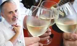 Hans Peter Doskozil schließt sich der Forderung der Weinbau-Chefs an.