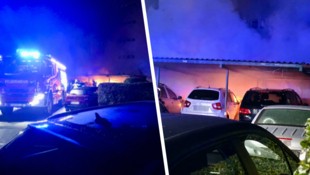 Mitten in der Nacht gingen die Autos in Flammen auf.