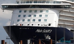 Das 293 Meter lange Kreuzfahrtschiff musste nach der Havarie zum Pier zurückkehren.
