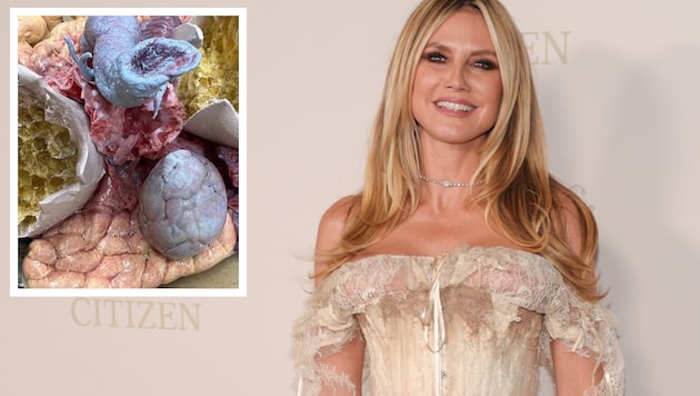 Igitt, igitt! Diesen unappetitlichen Hinweis gab Heidi Klum auf ihr diesjähriges ...