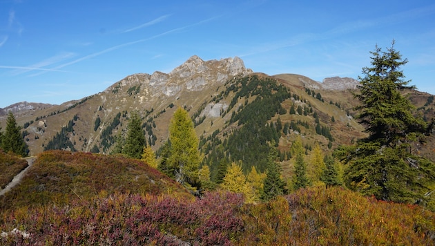 Herbstlicher Blick auf den markanten Felsgipfel des Schuhflickers.