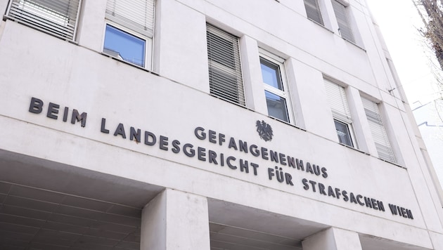 Der junge Schwede muss sich wegen versuchter Tötung vor Gericht verantworten.