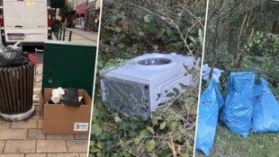 Stadt-Kübel werden zur illegalen Sperrmüll-Anlage. Und auch im Wald trifft man auf Hausmüll.