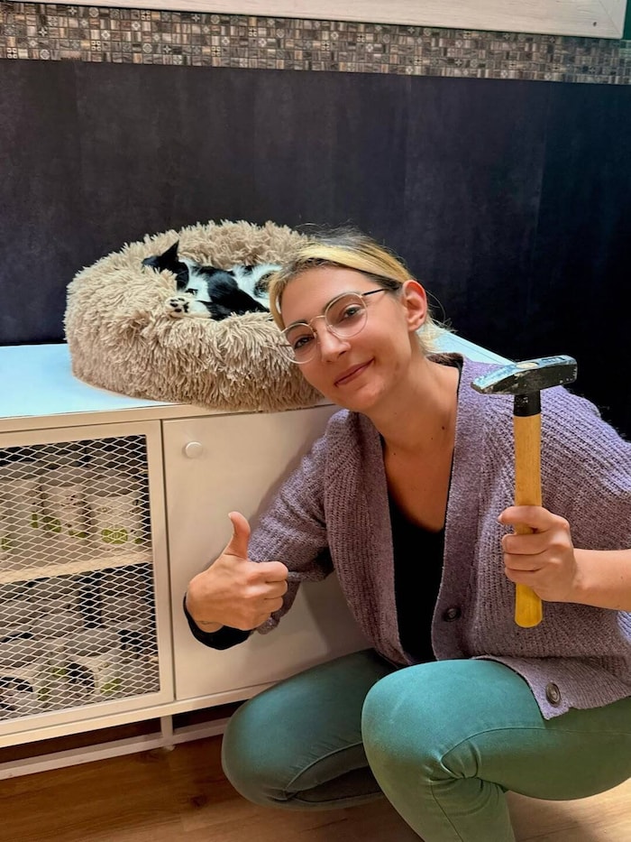 Verena Kulterer hat das Katzencafe renoviert.