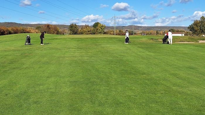 Keine Spur mehr von kahlen Stellen: Das Fairway im GC Neusiedlersee ähnelt wieder einem Teppich.