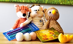 Von Malsets für Kinder über ein Quartett-Kartenspiel zu Österreichs Bergen bis hin zu ...