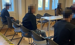Der Erstangeklagten fasste sechs Monate bedingte Haft aus, die Komplizen Sozialstunden.