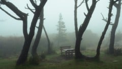 Eine Wandergruppe des polnischen Touristenvereins wurde auf die Kinder aufmerksam, da einer der ...