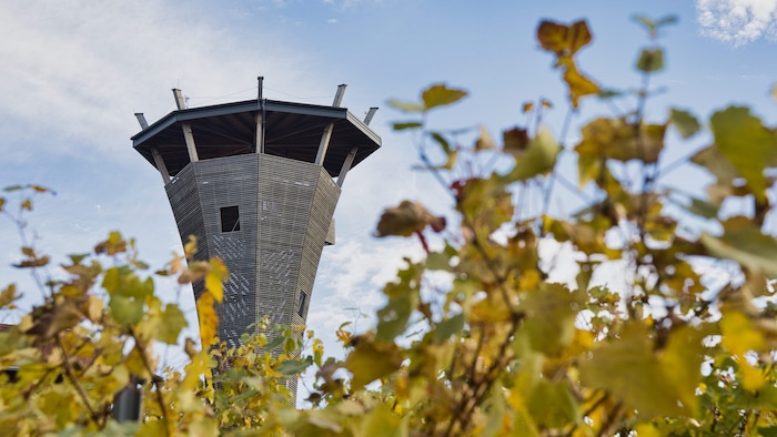 Die Aussichtsplattform des markanten Wasserturms in Gamlitz bietet einen faszinierenden ...