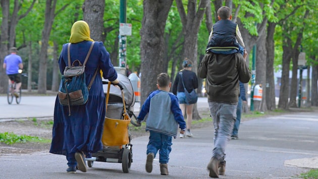 Das Bevölkerungswachstum Wiens beruht rein auf Zuwanderung aus dem Ausland – und die zu uns ...