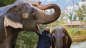 Der indische Unternehmer und Tierschützer Anant Ambani gibt am Sonntag in der TV-Doku „Sein Herz ...