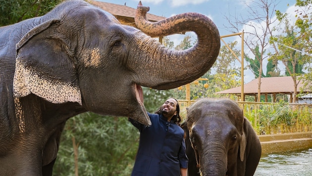 Der indische Unternehmer und Tierschützer Anant Ambani gibt am Sonntag in der TV-Doku „Sein Herz ...