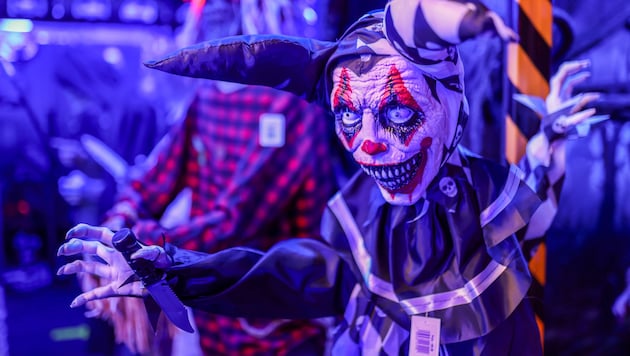 Kostümierung ausdrücklich erwünscht! Halloween wird schon lange nicht mehr nur in den USA ...