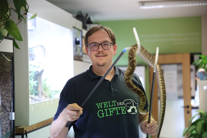 In der „Welt der Gifte“ trifft man schaurige Tiere: Chef Nils Kley mit Giftschlange.