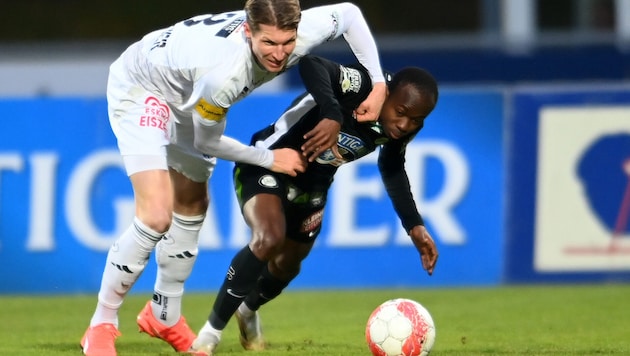 WAC-Interimskapitän Simon Piesinger will gegen Sturm überraschen.