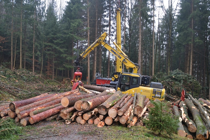 Jährlich ernten die Vorarlberger Agrargemeinschaften rund 57.000 Festmeter Holz.