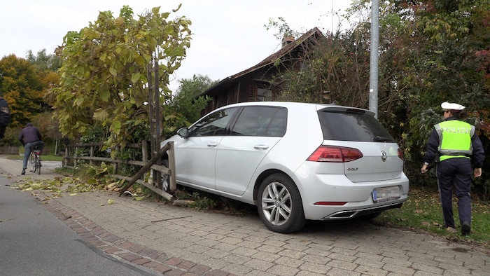 Ab durch die Hecke.