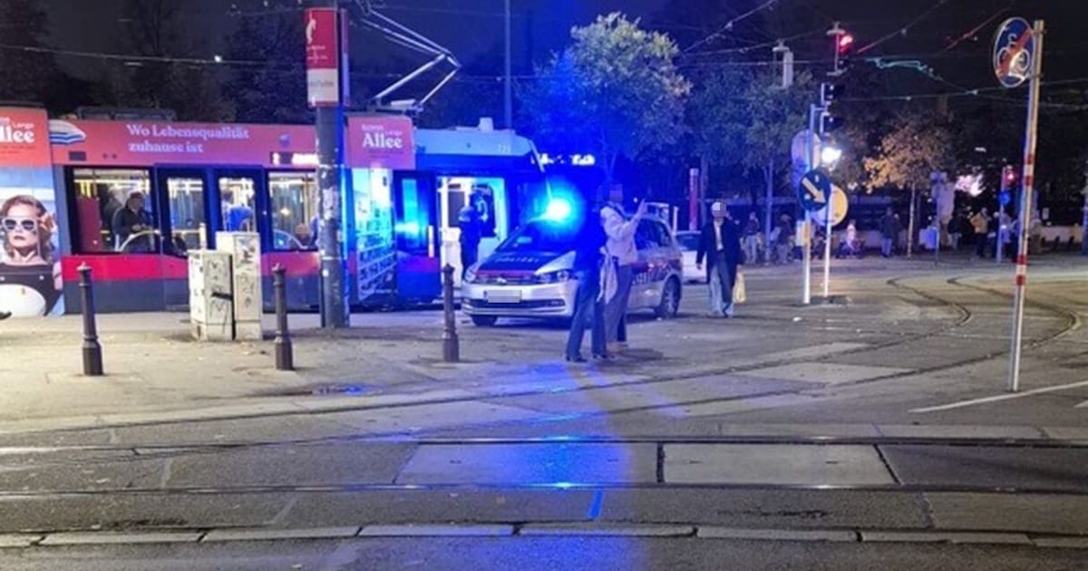 Image accompanying Öffi-Nutzer in Angst - Mann zückte in Wiener Straßenbahn ein Messer, from Kronen Zeitung