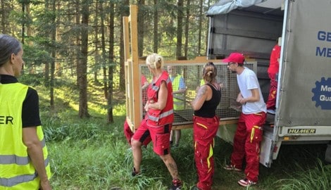 Nicht selten müssen Lebendfallen aufgebaut werden.