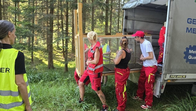Nicht selten müssen Lebendfallen aufgebaut werden.
