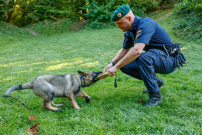 Noch verlaufen die alltäglichen Trainingseinheiten sehr spielerisch ab.