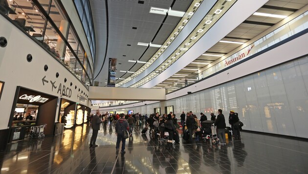 Am Flughafen Wien nahmen Polizisten den mutmaßlichen Entführer in Haft. (Bild: Peter Tomschi)