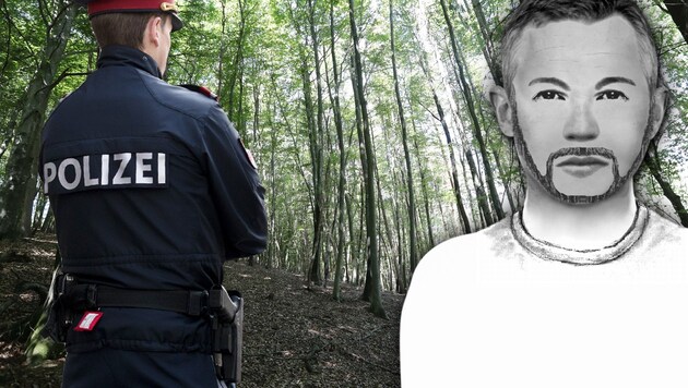 Dieser Mann soll in Niederösterreich eine 40-Jährige betäubt und vergewaltigt haben. (Bild: APA/GEORG HOCHMUTH, Polizei, Juergen Radspieler, krone.at-grafik)